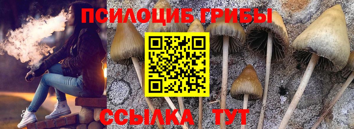 Галлюциногенные грибы мицелий Фролово